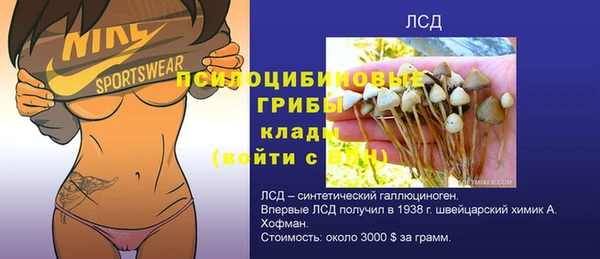 дживик Аркадак