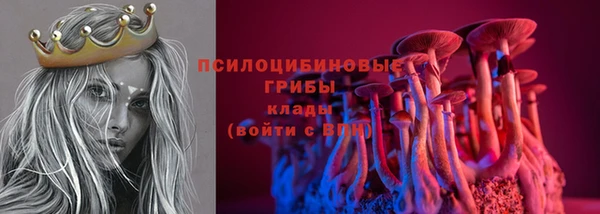 ГАЛЛЮЦИНОГЕННЫЕ ГРИБЫ Армянск