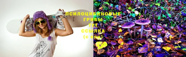 ГАЛЛЮЦИНОГЕННЫЕ ГРИБЫ Армянск