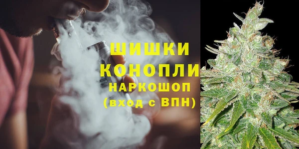 дживик Аркадак
