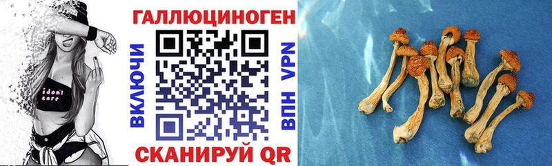 Галлюциногенные грибы GOLDEN TEACHER  Оленегорск 